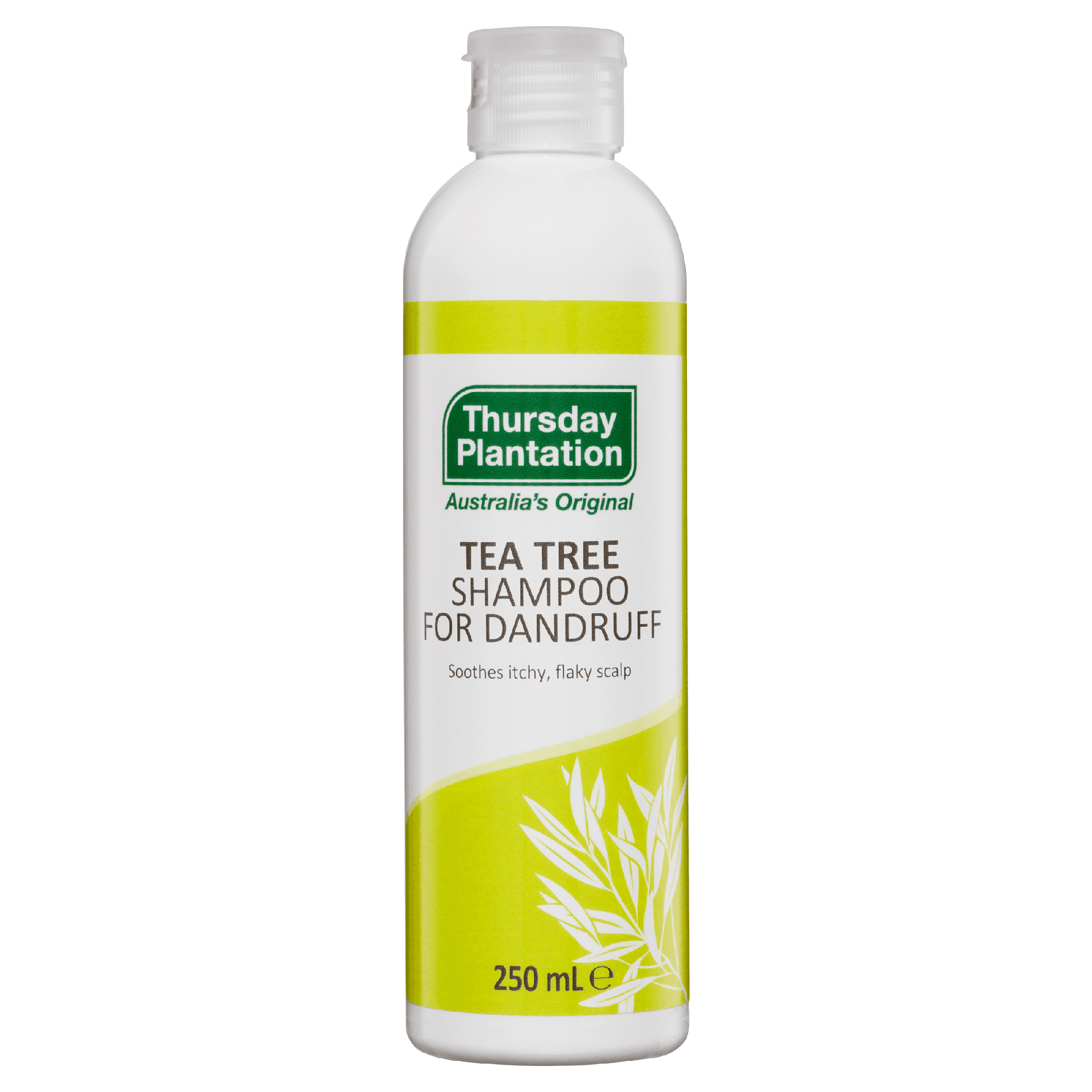 Tea Tree Shampoo For Dandruff