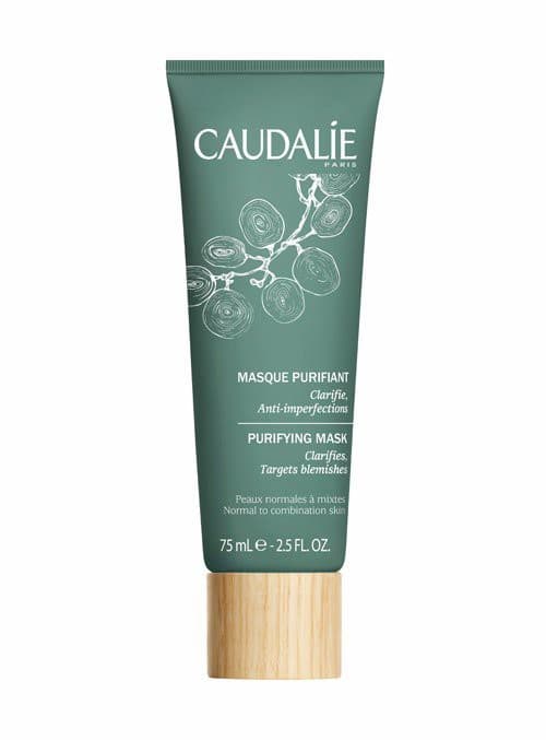 Purifying Mask