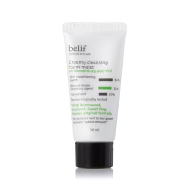 Creamy Cleansing Foam Moist