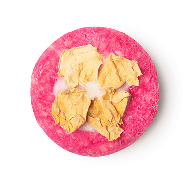 Coconut Rice Cake Shampoo Bar