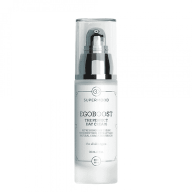 The Perfect Day Cream