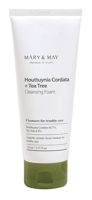 Houttuynia Cordata + Tea Tree Cleansing Foam
