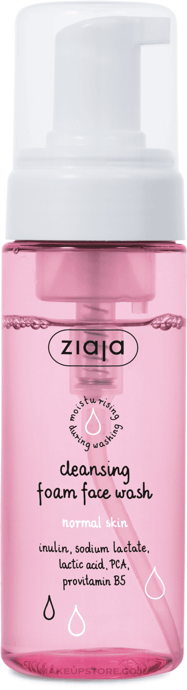 Cleansing Foam Face Wash