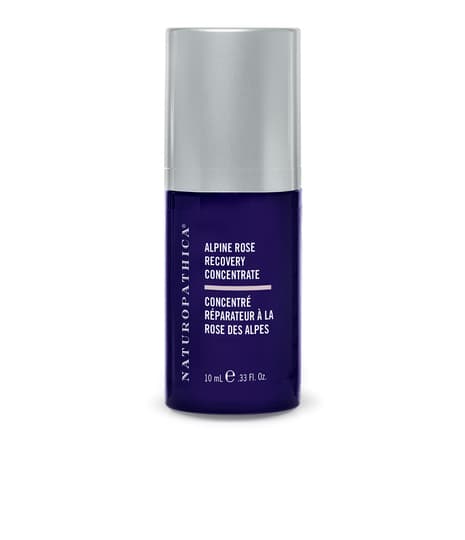Alpine Rose Recovery Concentrate