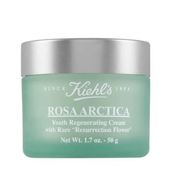 Rosa Arctica