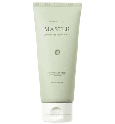 Master Gentle Recipe Foam Cleanser