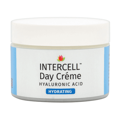 Intercell, Hyaluronic Acid Day Cream