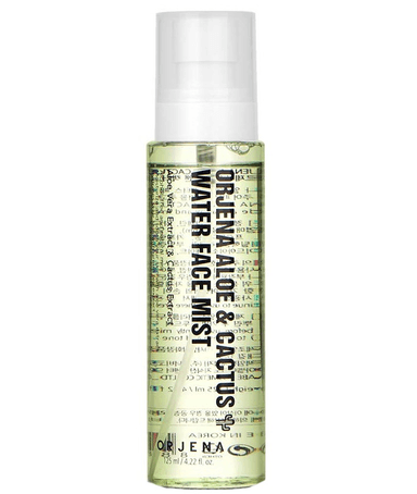 Aloe & Cactus Water Face Mist 