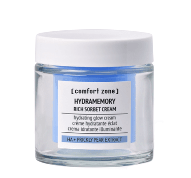 Hydramemory Rich Sorbet Cream