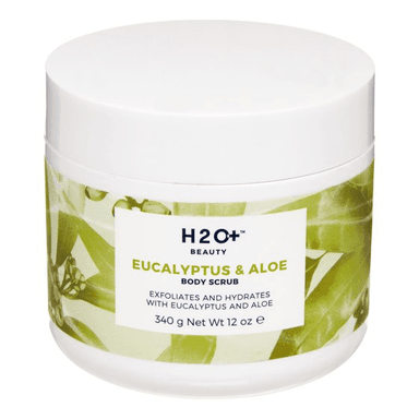 Eucalyptus & Aloe Body Scrub