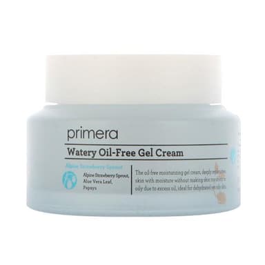Watery Oil-Free Gel Cream