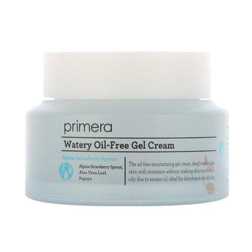 Watery Oil-Free Gel Cream