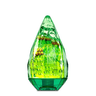 Cactus Soothing Gel