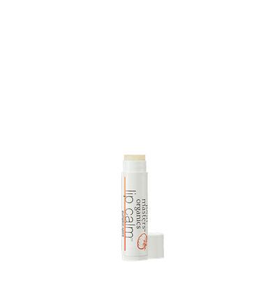 Pumpkin Spice Lip Calm