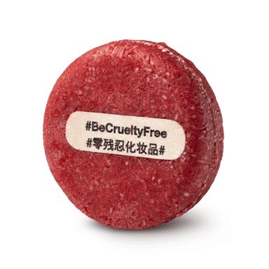 New Shampoo Bar