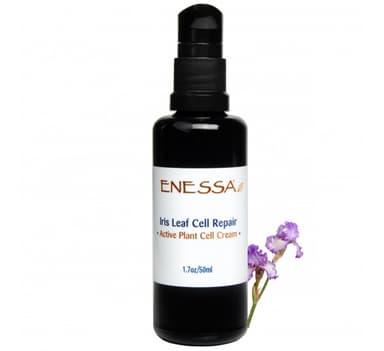 Iris Leaf Cell Repair