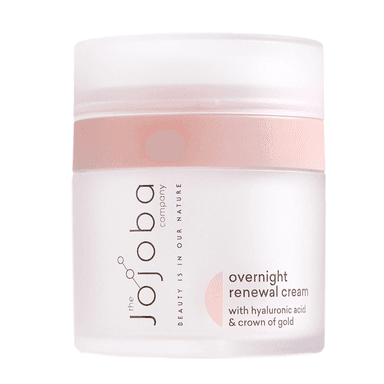 Overnight Renewal Cream