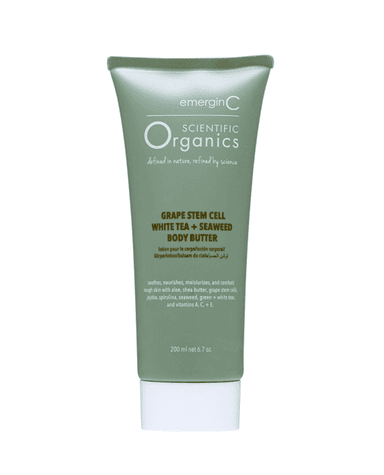 Grape Stem Cell, White Tea + Seaweed Body Butter