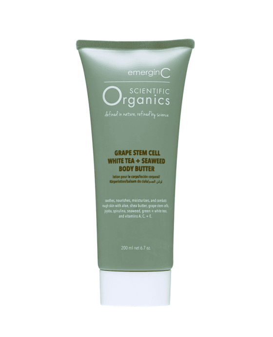 Grape Stem Cell, White Tea + Seaweed Body Butter