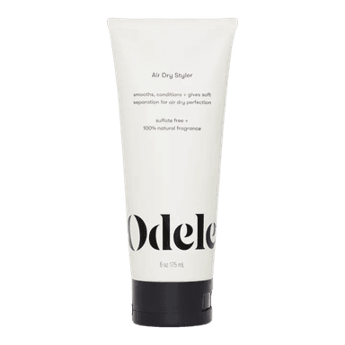 Air Dry Styler