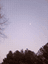 savannahrose0909