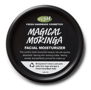 Magical Moringa