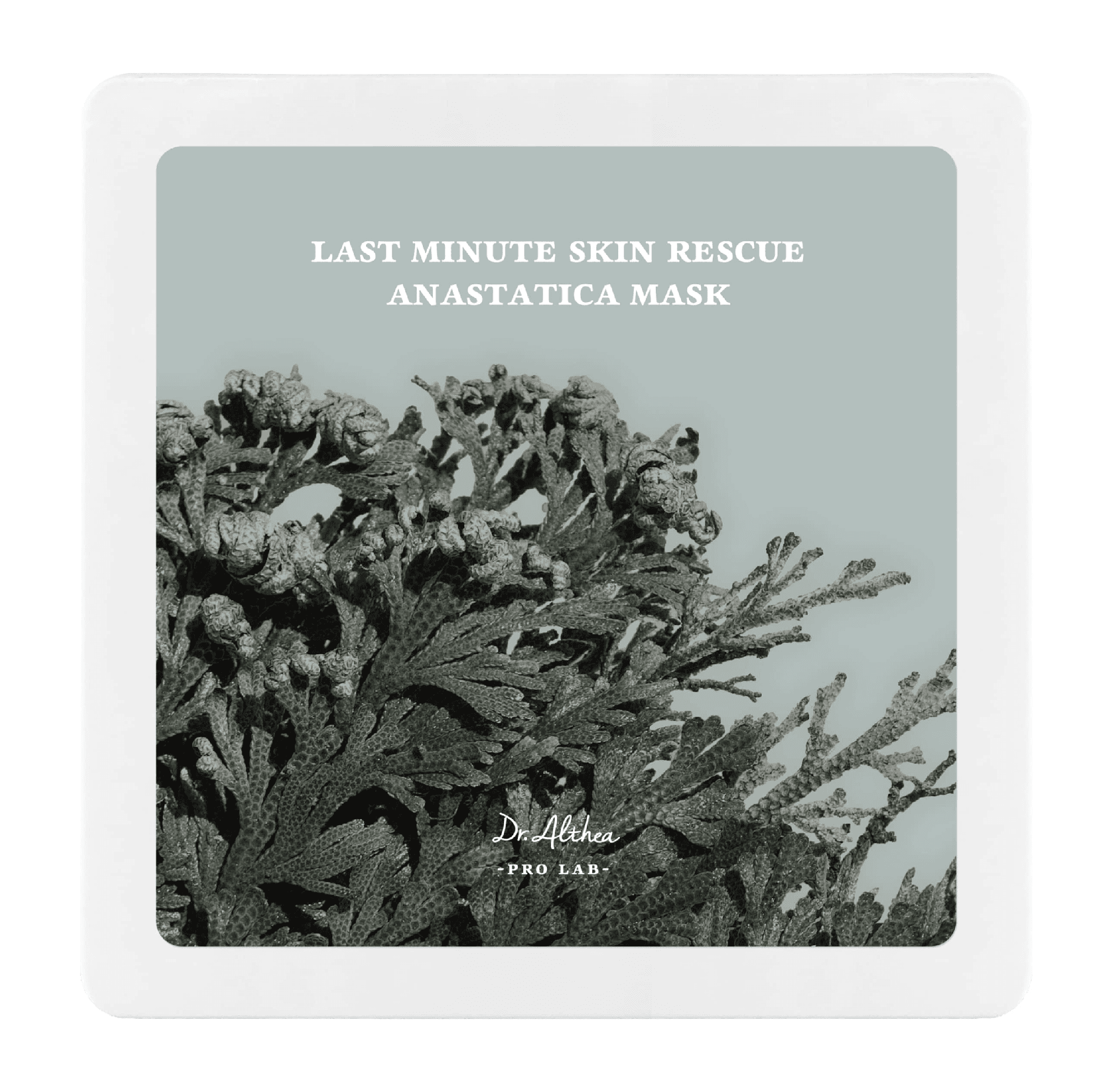 Last Minute Skin Rescue Anastatica Mask